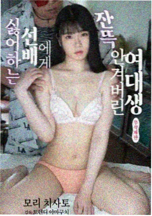 海雾之下剧集封面图